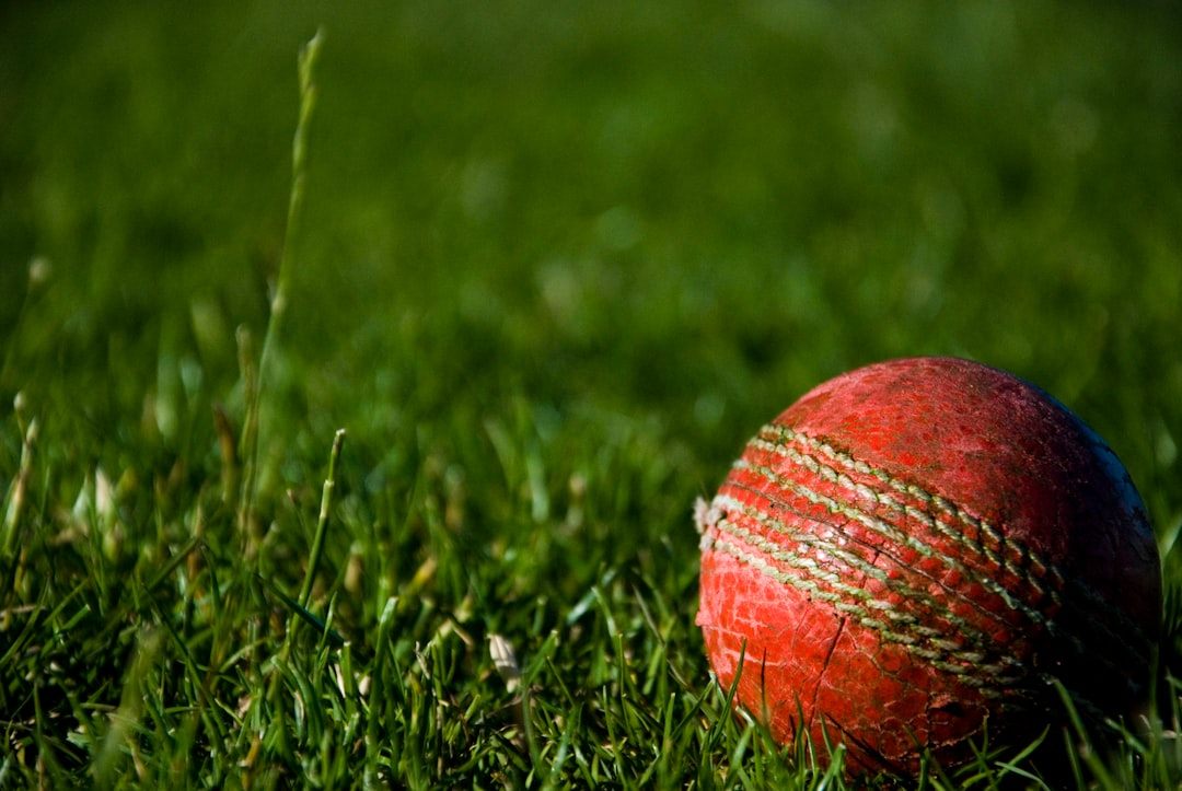 Patience, Precision, and Partnership — What Cricket Teaches Business Leaders
