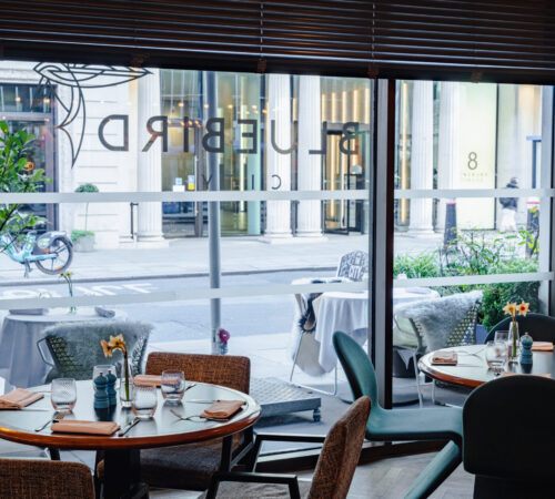 The Sporting Club City at Bluebird