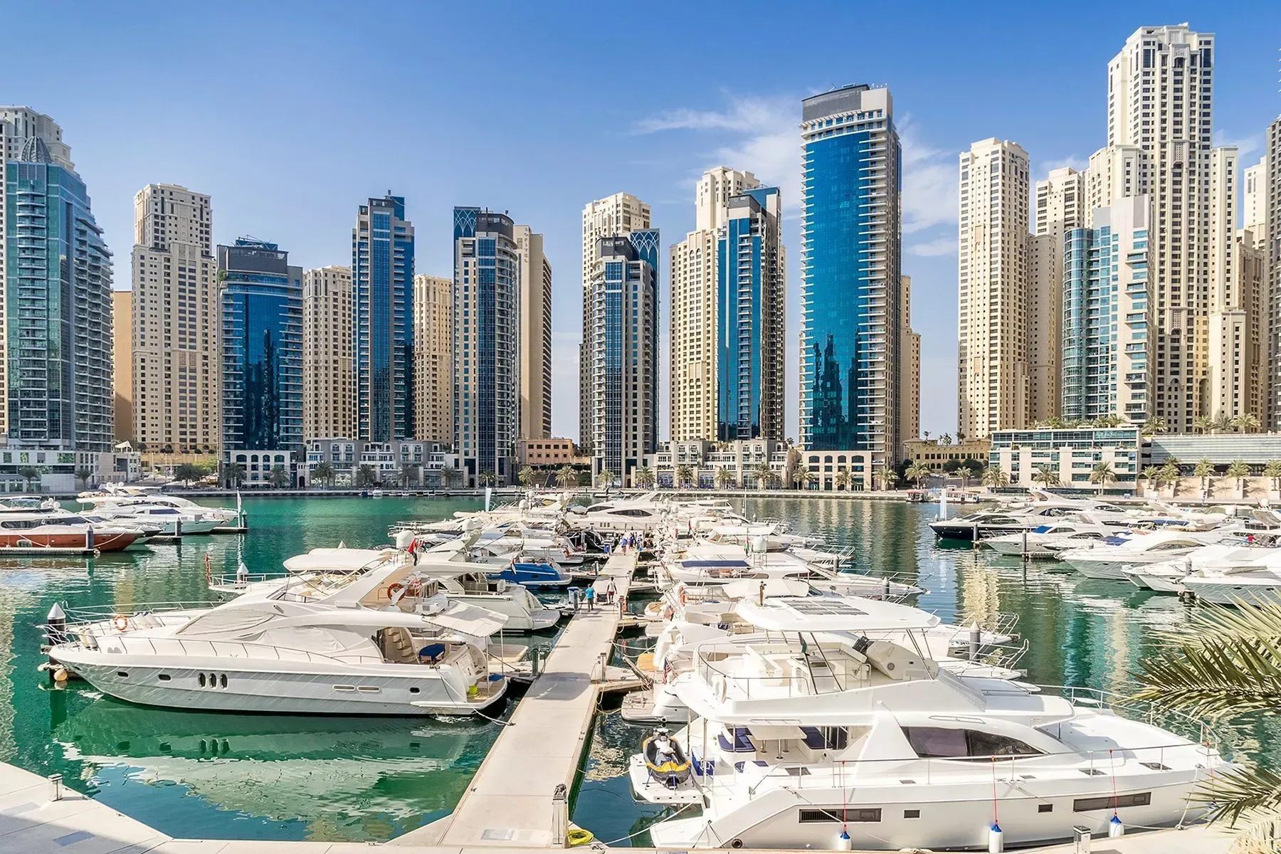 The Marina Yacht & Business Club